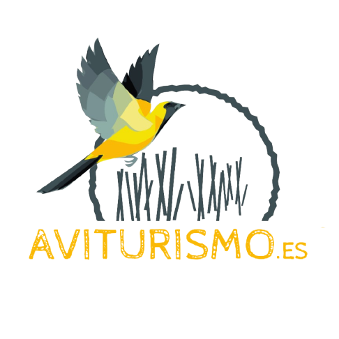 Aviturismo Empresa naturaleza activa